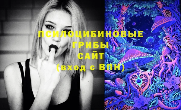 прущий лед Строитель