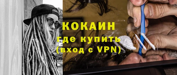 стаф Алзамай