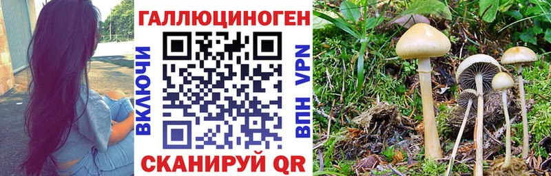 Галлюциногенные грибы MAGIC MUSHROOMS Кочубеевское