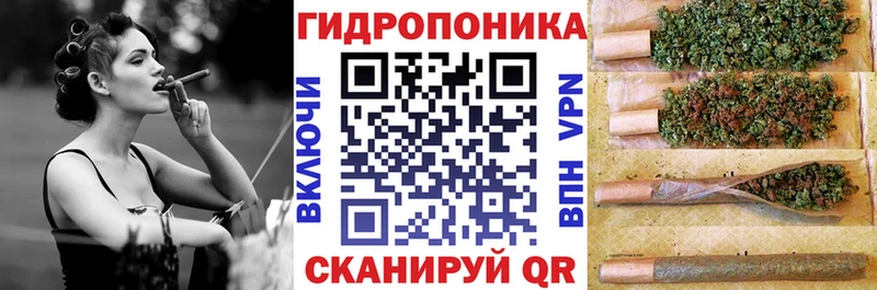 Бошки Шишки сатива дарнет шоп Кочубеевское